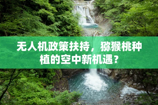 无人机政策扶持，猕猴桃种植的空中新机遇？