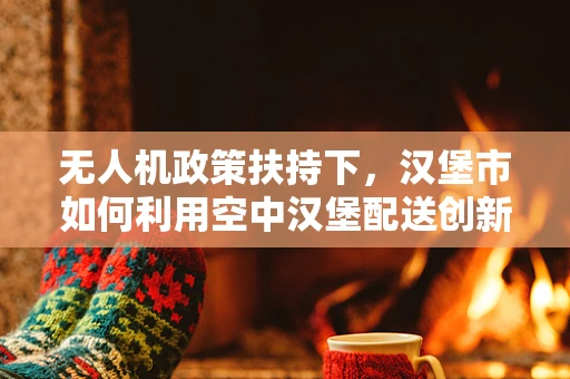 无人机政策扶持下，汉堡市如何利用空中汉堡配送创新？