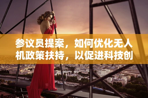 参议员提案，如何优化无人机政策扶持，以促进科技创新与安全并进？