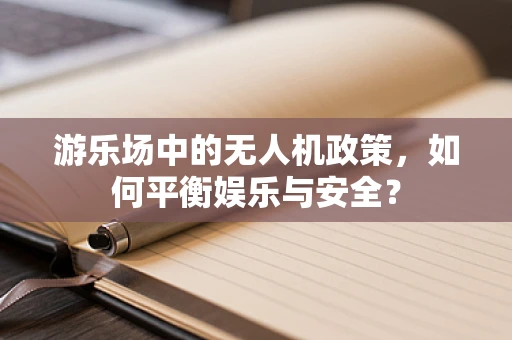 游乐场中的无人机政策，如何平衡娱乐与安全？