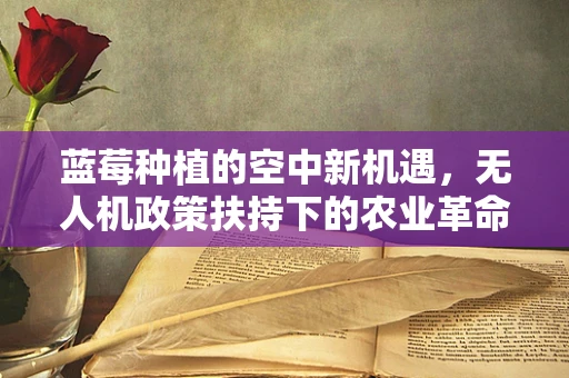 蓝莓种植的空中新机遇，无人机政策扶持下的农业革命？