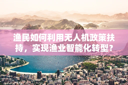 渔民如何利用无人机政策扶持，实现渔业智能化转型？
