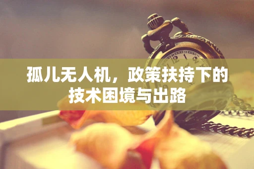 孤儿无人机，政策扶持下的技术困境与出路