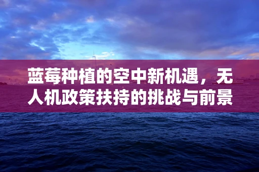蓝莓种植的空中新机遇，无人机政策扶持的挑战与前景