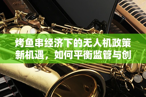 烤鱼串经济下的无人机政策新机遇，如何平衡监管与创新？