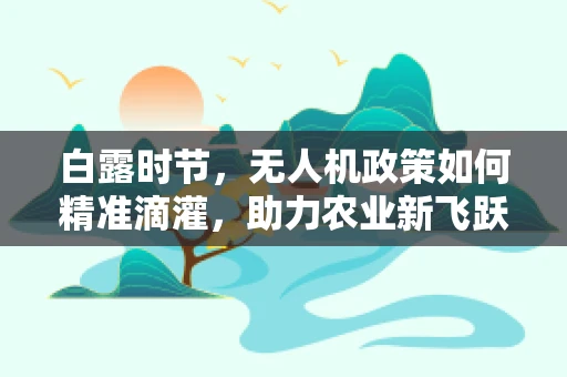 白露时节，无人机政策如何精准滴灌，助力农业新飞跃？