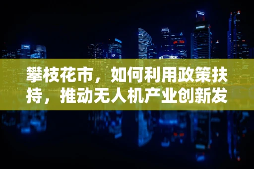 攀枝花市，如何利用政策扶持，推动无人机产业创新发展？