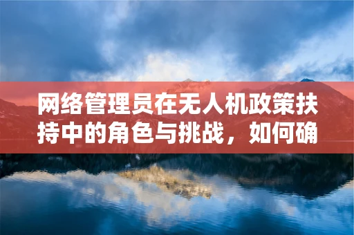 网络管理员在无人机政策扶持中的角色与挑战，如何确保安全与合规？