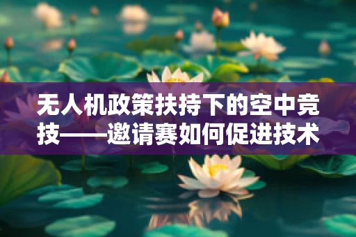 无人机政策扶持下的空中竞技——邀请赛如何促进技术创新与安全监管？