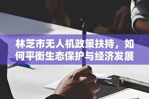 林芝市无人机政策扶持，如何平衡生态保护与经济发展？