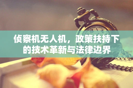 侦察机无人机，政策扶持下的技术革新与法律边界
