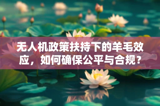 无人机政策扶持下的羊毛效应，如何确保公平与合规？