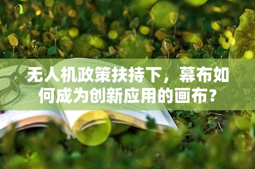 无人机政策扶持下，幕布如何成为创新应用的画布？