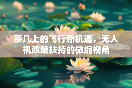 茶几上的飞行新机遇，无人机政策扶持的微缩视角