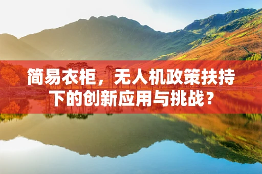 简易衣柜，无人机政策扶持下的创新应用与挑战？