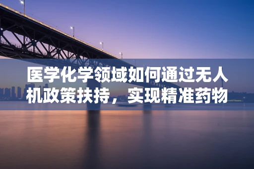 医学化学领域如何通过无人机政策扶持，实现精准药物配送的革新？