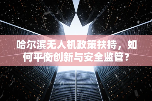 哈尔滨无人机政策扶持，如何平衡创新与安全监管？
