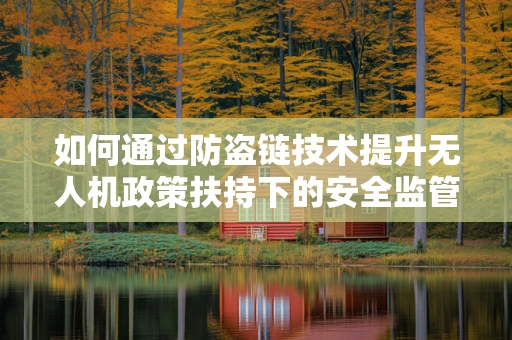 如何通过防盗链技术提升无人机政策扶持下的安全监管？