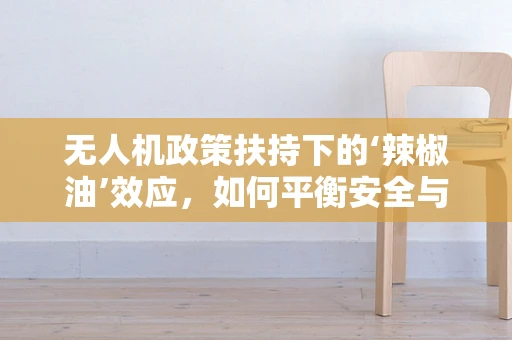 无人机政策扶持下的‘辣椒油’效应，如何平衡安全与创新的边界？