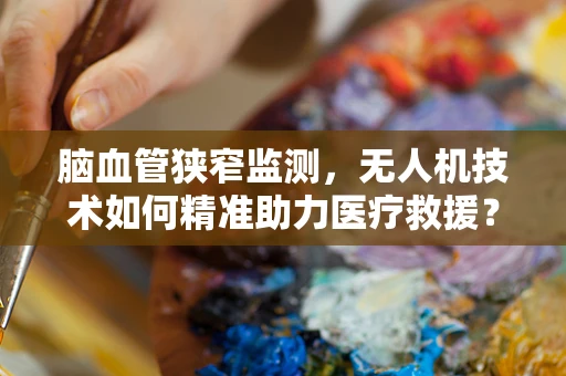 脑血管狭窄监测，无人机技术如何精准助力医疗救援？