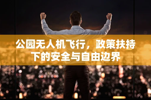 公园无人机飞行，政策扶持下的安全与自由边界