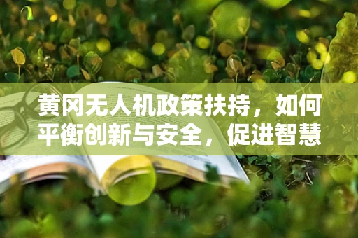 黄冈无人机政策扶持，如何平衡创新与安全，促进智慧城市新飞跃？