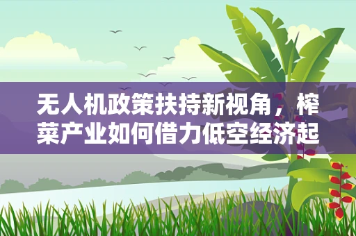 无人机政策扶持新视角，榨菜产业如何借力低空经济起飞？