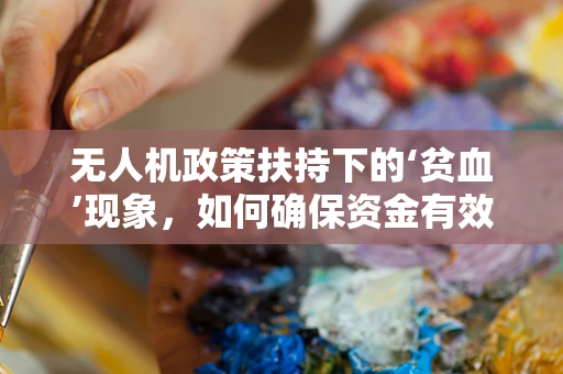 无人机政策扶持下的‘贫血’现象，如何确保资金有效利用？