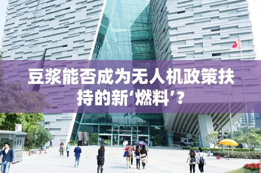 豆浆能否成为无人机政策扶持的新‘燃料’？