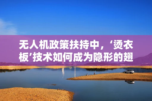 无人机政策扶持中，‘烫衣板’技术如何成为隐形的翅膀？