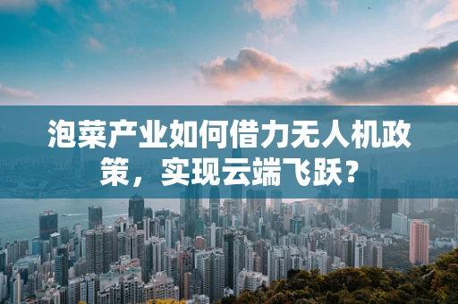 泡菜产业如何借力无人机政策，实现云端飞跃？