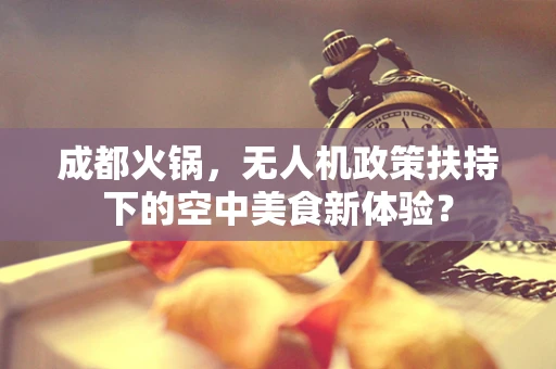 成都火锅，无人机政策扶持下的空中美食新体验？