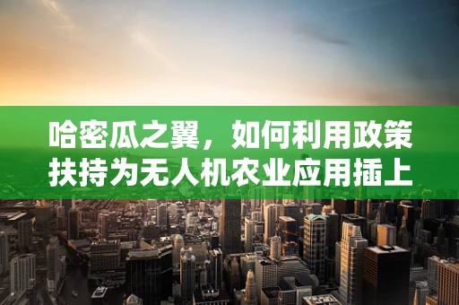哈密瓜之翼，如何利用政策扶持为无人机农业应用插上绿色翅膀？