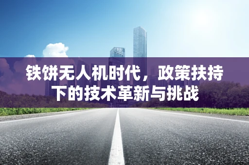 铁饼无人机时代，政策扶持下的技术革新与挑战