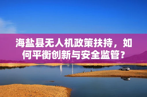 海盐县无人机政策扶持，如何平衡创新与安全监管？