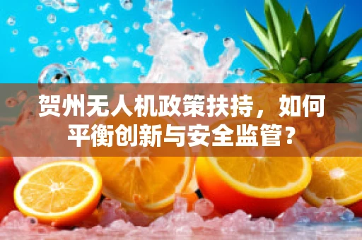 贺州无人机政策扶持，如何平衡创新与安全监管？