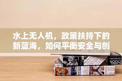 水上无人机，政策扶持下的新蓝海，如何平衡安全与创新？