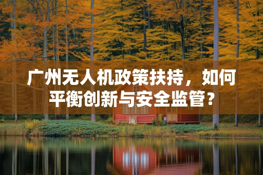 广州无人机政策扶持，如何平衡创新与安全监管？