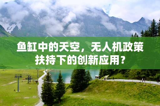 鱼缸中的天空，无人机政策扶持下的创新应用？