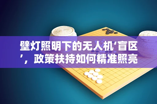 壁灯照明下的无人机‘盲区’，政策扶持如何精准照亮？