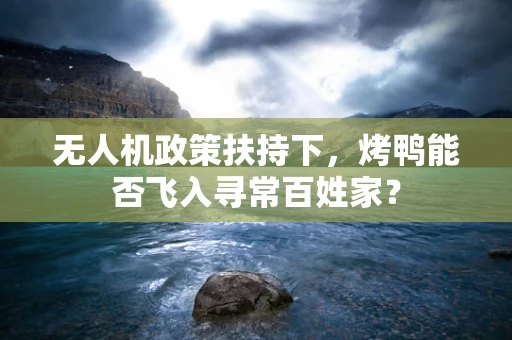 无人机政策扶持下，烤鸭能否飞入寻常百姓家？