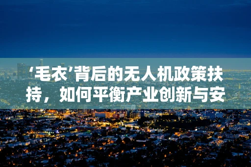 ‘毛衣’背后的无人机政策扶持，如何平衡产业创新与安全监管？
