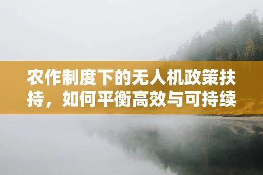 农作制度下的无人机政策扶持，如何平衡高效与可持续？