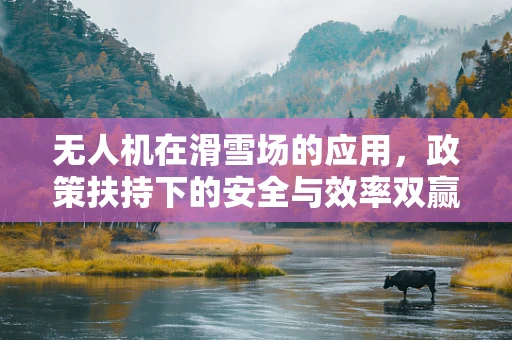 无人机在滑雪场的应用，政策扶持下的安全与效率双赢？