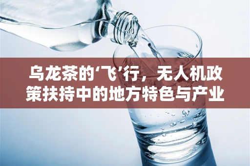 乌龙茶的‘飞’行，无人机政策扶持中的地方特色与产业融合新路径？
