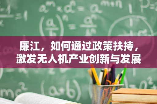 廉江，如何通过政策扶持，激发无人机产业创新与发展的新动力？