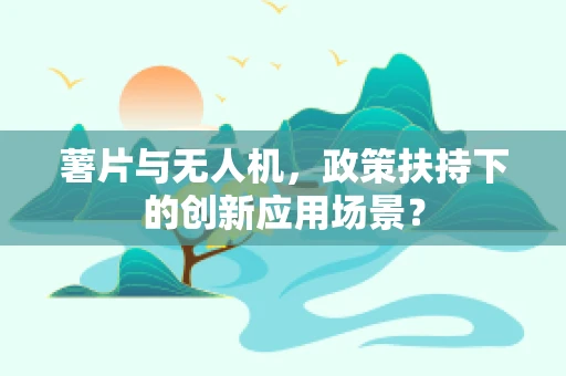 薯片与无人机，政策扶持下的创新应用场景？