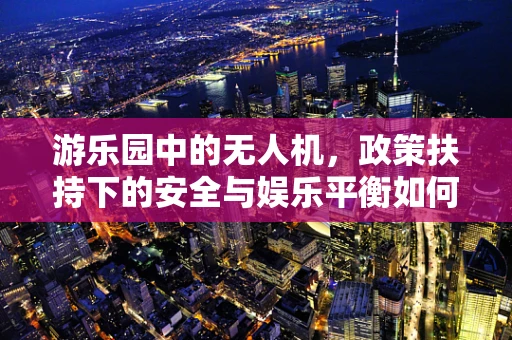 游乐园中的无人机，政策扶持下的安全与娱乐平衡如何实现？