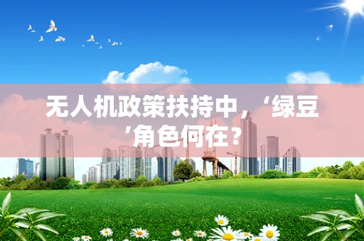 无人机政策扶持中，‘绿豆’角色何在？