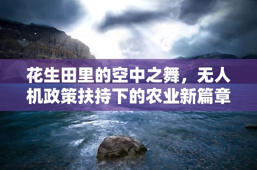 花生田里的空中之舞，无人机政策扶持下的农业新篇章？